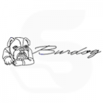 logo_burdog